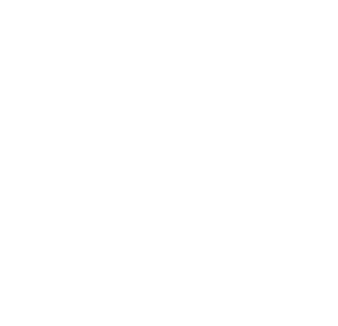 Pineta Capital